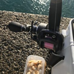 ブラクリ&胴付き二本針でカワハギGET