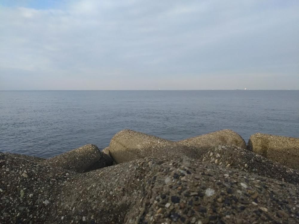 メジロ回遊してます！