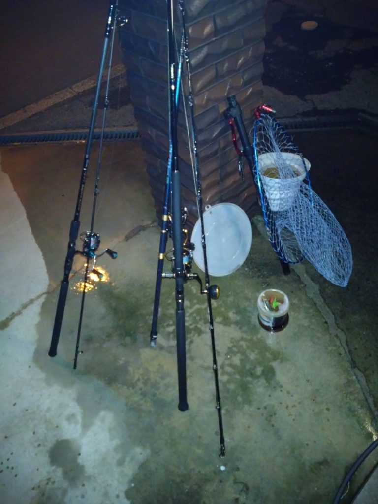 久々のアオリGET!即席タックルで苦笑