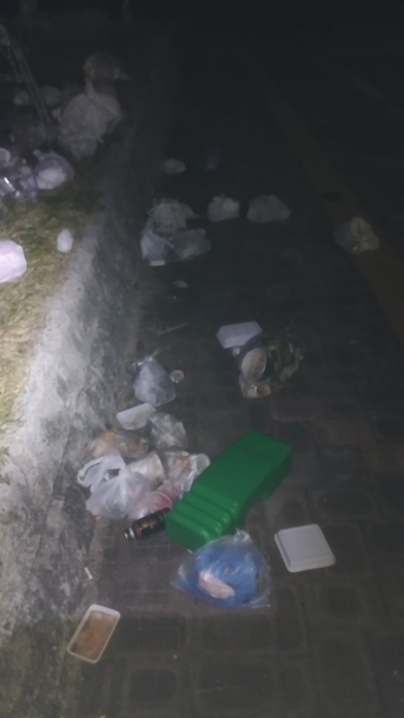 由々しきゴミ問題