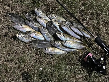 ジグ単deアジング♪爆風後終盤の逆襲！