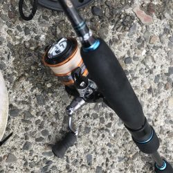 ヘチ際でカワハギ&五目釣り