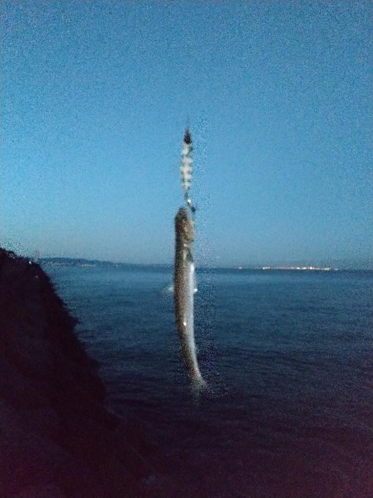 ショアジギング