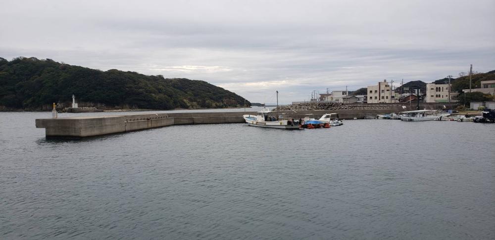 アジ探し@淡路島