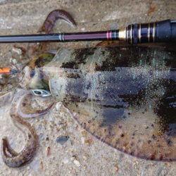 遂に対馬が選択できる！！