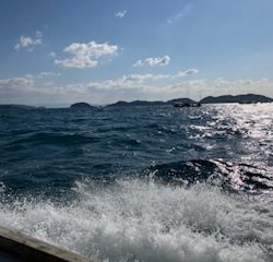 泉州丸さんで太刀魚