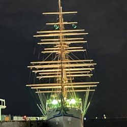 ジグ単de〜アジング!クリスマス明け