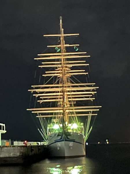 ジグ単de〜アジング!クリスマス明け