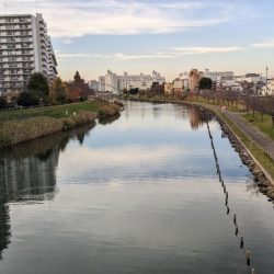 旧中川　落ちハゼ　夜釣り