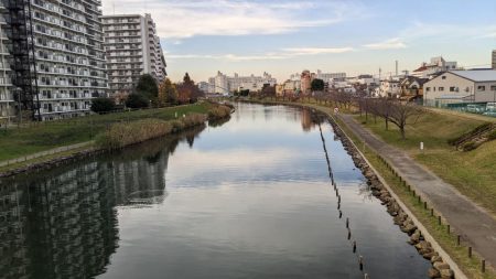 旧中川　落ちハゼ　夜釣り