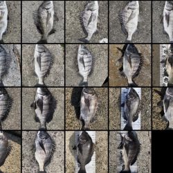 イチノ兄弟(兄)釣果!