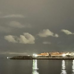 激寒むアジング