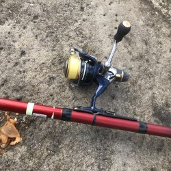 白浜見草地磯でカゴ釣りでグレGET