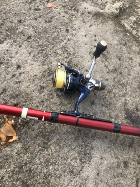 白浜見草地磯でカゴ釣りでグレGET