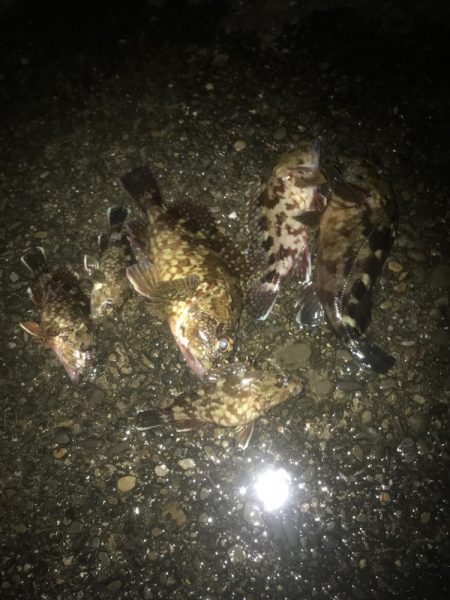 一誠　ハネエビロッド2 鱗付け完了