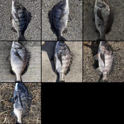 イチノ兄弟（兄）釣果！