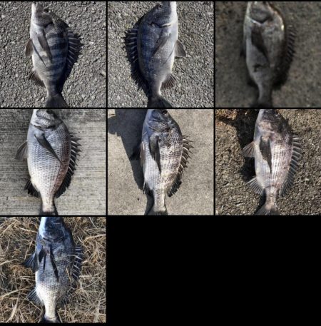 イチノ兄弟（兄）釣果！