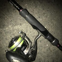 フロートリグでメバル調査