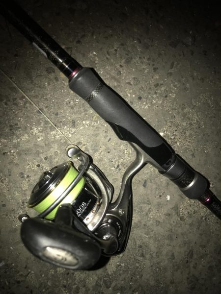 フロートリグでメバル調査