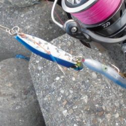 スローな動きが◎