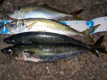 今年のラストは？