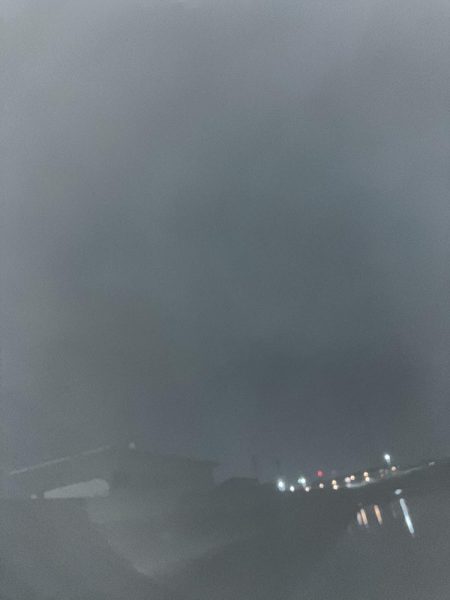 今年もチャンスはあと僅か。。