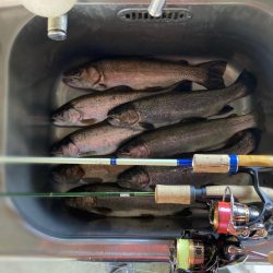 BerryPark in FISH ON！王禅寺