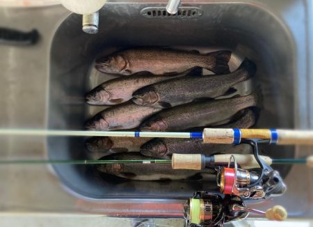 BerryPark in FISH ON！王禅寺