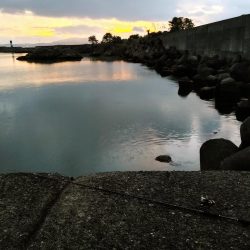 ズル引きチニング