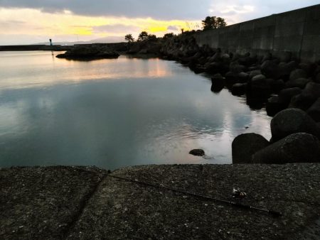 ズル引きチニング