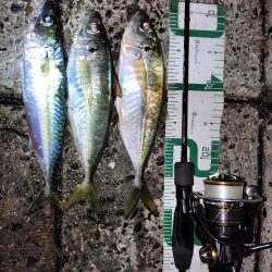 今日は厳しい…