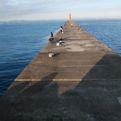 強風の播磨新間釣行