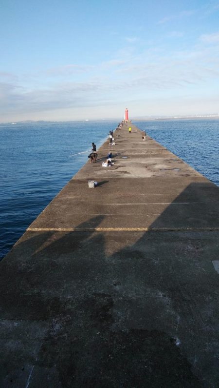強風の播磨新間釣行