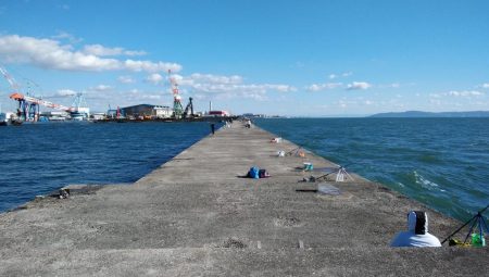 播磨新島のキス釣行