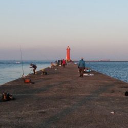 播磨新島のキス情報