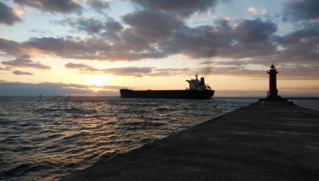 播磨新島のキス調査