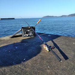 フカセ‥最高ですネ・・