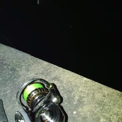 ぶら小河川調査！