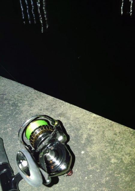 ぶら小河川調査！