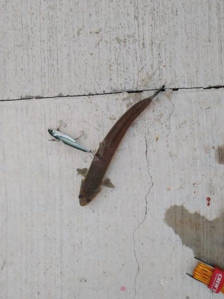 ラストスパート