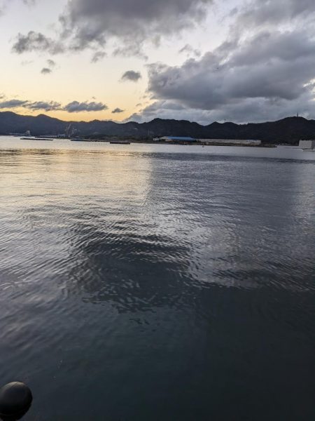 釣り納めアジング