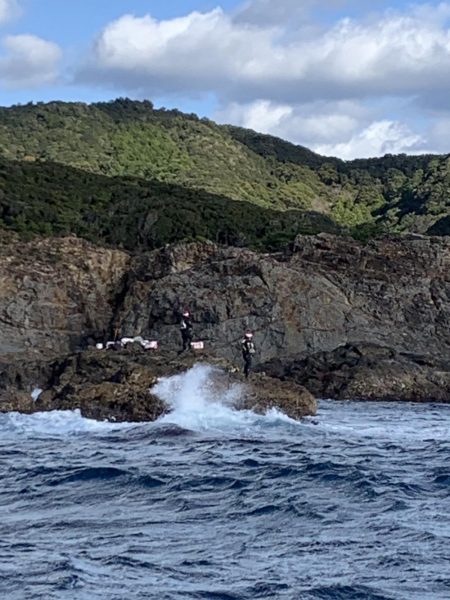 和歌山市江(吉丸渡船)で磯フカセ