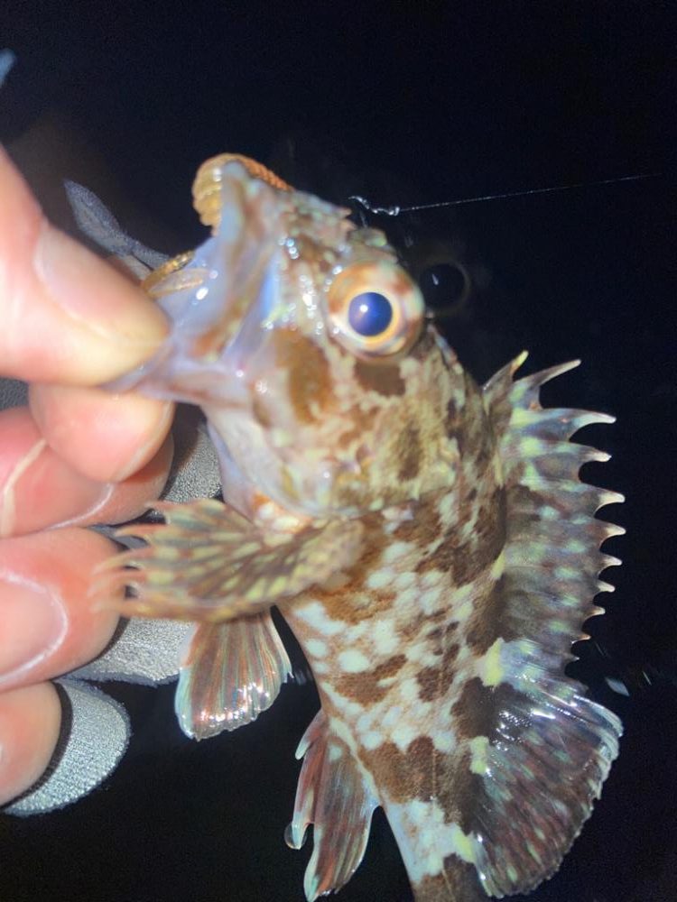 2022ライトゲーム最終戦（第48戦）