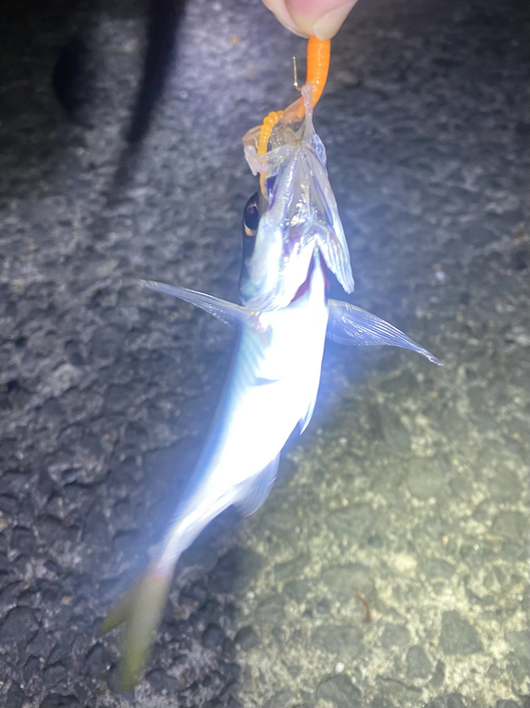 アから始まりジで終わる