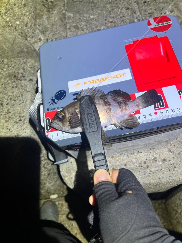 ガシリング絶好調