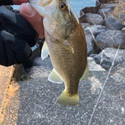 寒波到来もまだまだ釣れる！