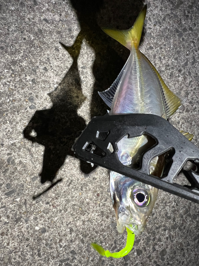 鯵を探して三千里Ver.8 小島漁港