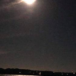 爆風の中でも宵姫爽なら何とかなる！