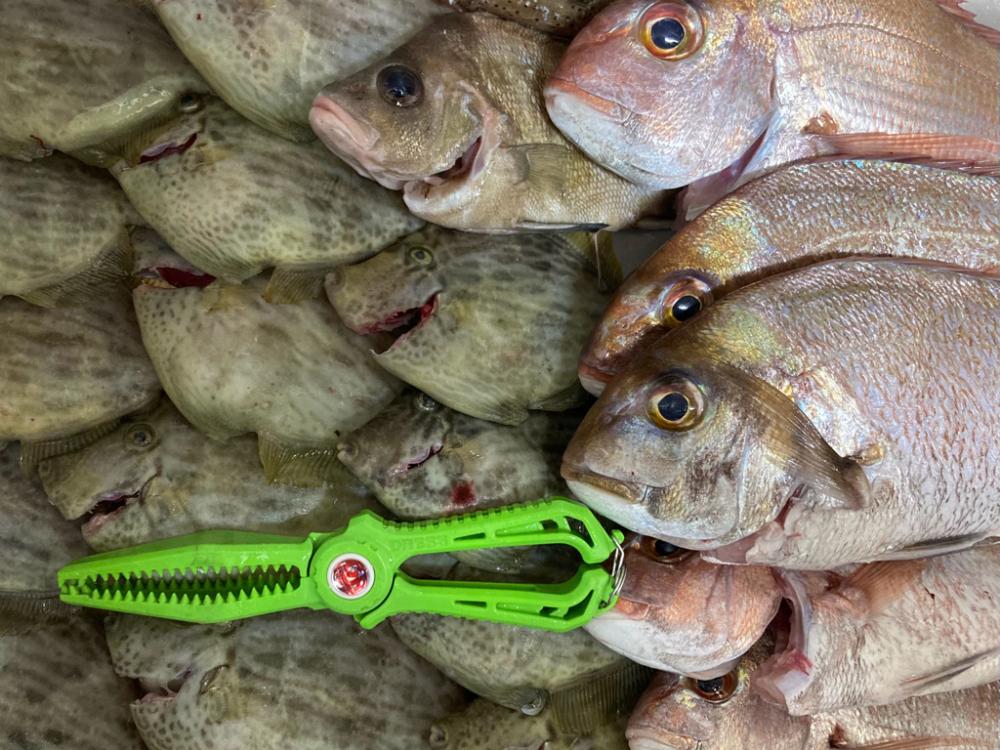 一つテンヤカワハギ祭りw