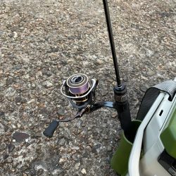 まだまだ好調！日本海アジング 最大30cm！